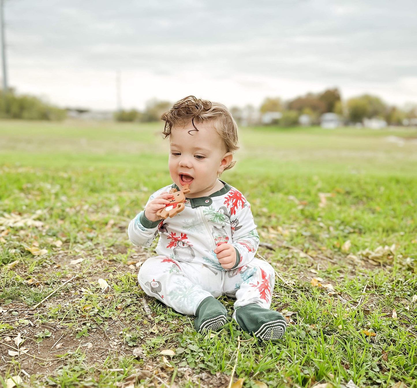 Reindeer Teether